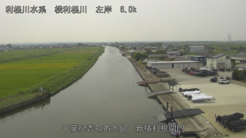 yoko2025091812_image