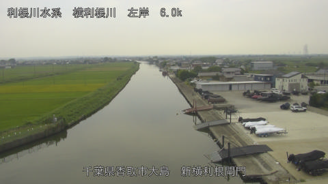 yoko2025091813_image