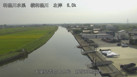 yoko2025091815_image