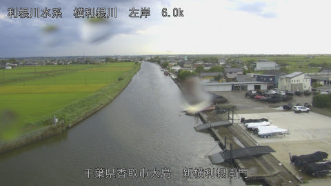 yoko2025091817_image