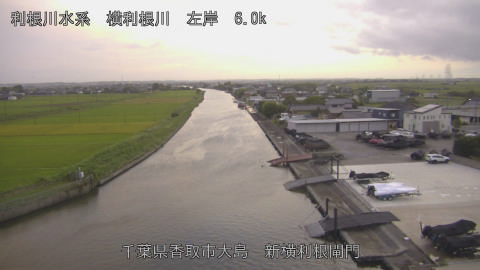yoko2025091818_image