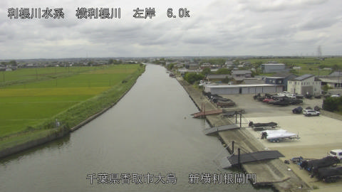 yoko2025091912_image