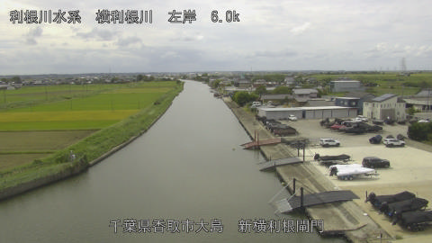 yoko2025092312_image