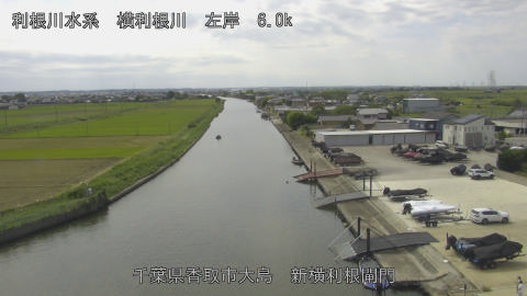 yoko2025092712_image