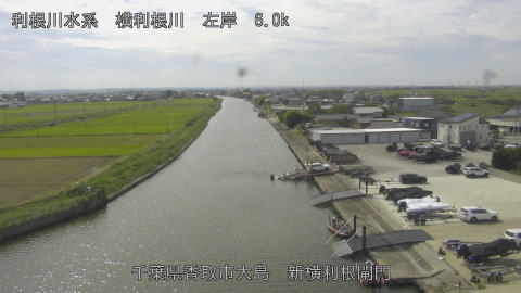 yoko2025092912_image