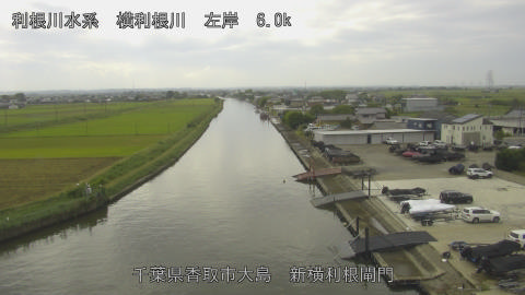 yoko2025100112_image