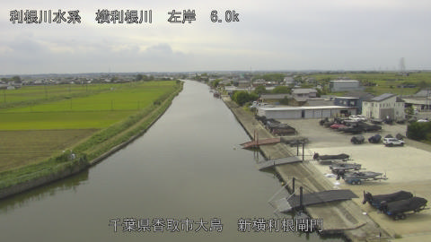 yoko2025100312_image