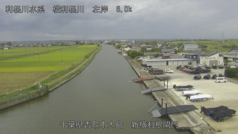 yoko2025100412_image