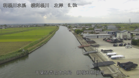 yoko2025100612_image