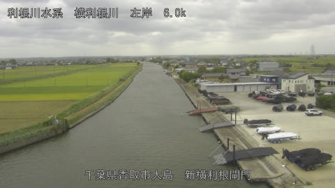 yoko2025100912_image
