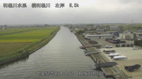 yoko2025101212_image