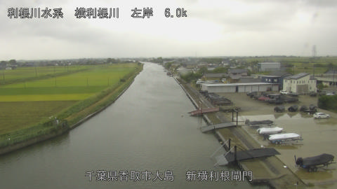 yoko2025101312_image