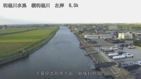 yoko2025101407_image