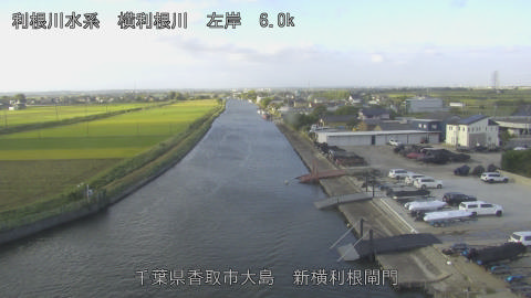 yoko2025101408_image