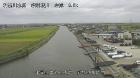yoko2025101411_image