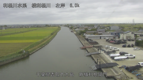 yoko2025101412_image