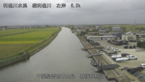 yoko2025101413_image