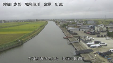 yoko2025101414_image