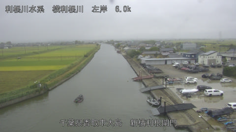 yoko2025101416_image