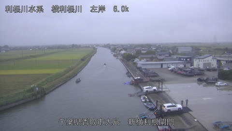 yoko2025101417_image