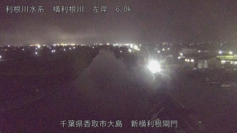 yoko2025101419_image