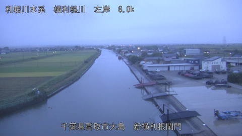 yoko2025101506_image