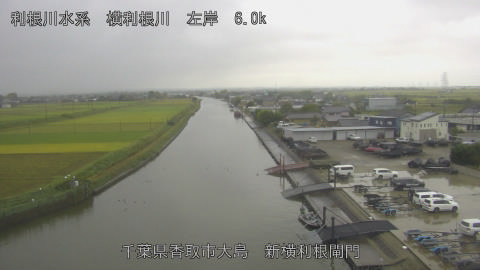 yoko2025101508_image
