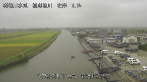 yoko2025101509_image
