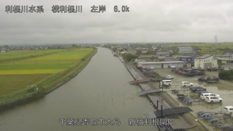 yoko2025101510_image