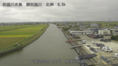 yoko2025101511_image