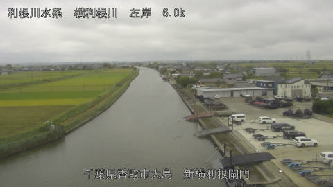 yoko2025101512_image