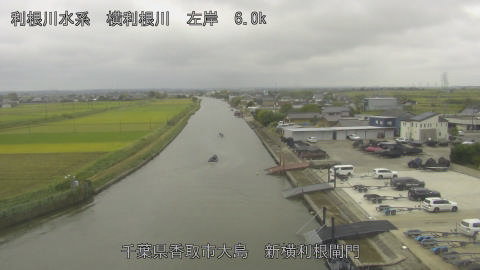 yoko2025101513_image