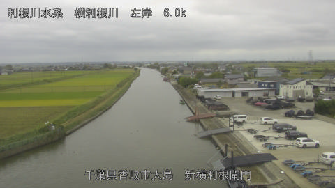 yoko2025101514_image
