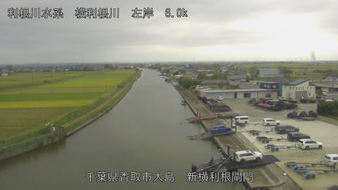 yoko2025101515_image