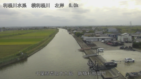 yoko2025101516_image