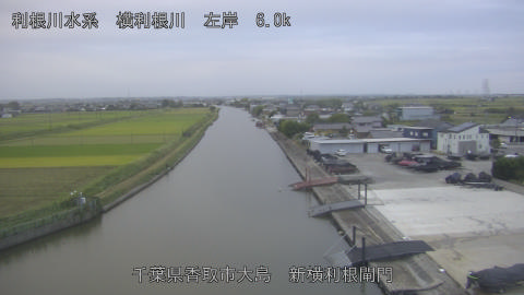 yoko2025101517_image