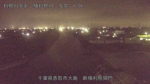 yoko2025101519_image