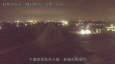 yoko2025101521_image