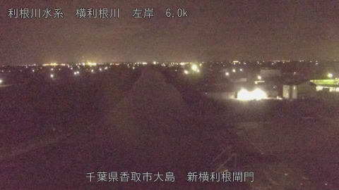 yoko2025101523_image