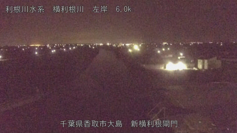 yoko2025101602_image