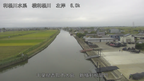 yoko2025101612_image