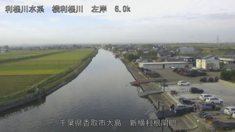 yoko2025101808_image