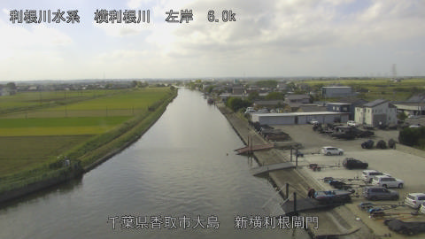 yoko2025101811_image