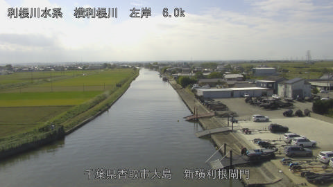yoko2025101812_image