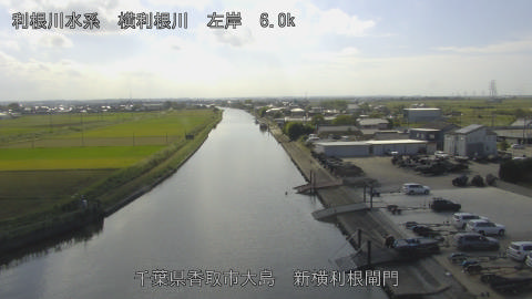 yoko2025101813_image