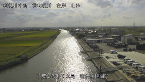 yoko2025101814_image