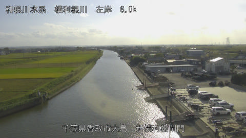 yoko2025101815_image