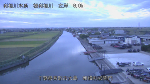yoko2025101906_image