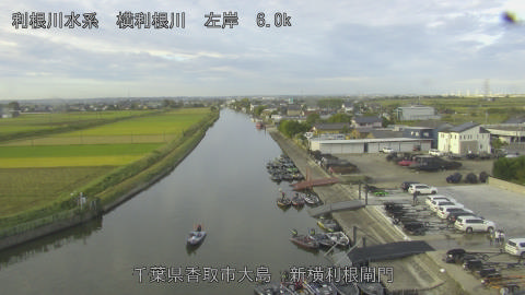 yoko2025101907_image