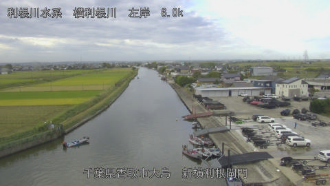 yoko2025101908_image